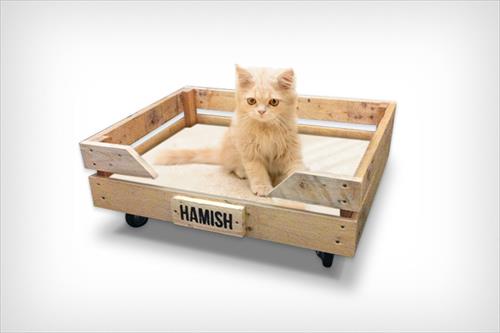 Кровать для котят из поддонов