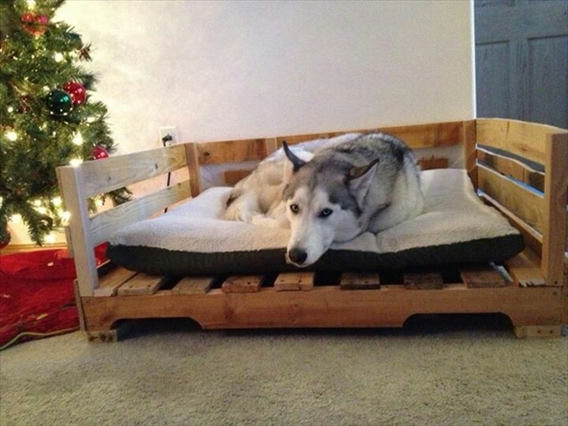Кровать для собаки из паллет